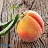 Peach - NicQuid
